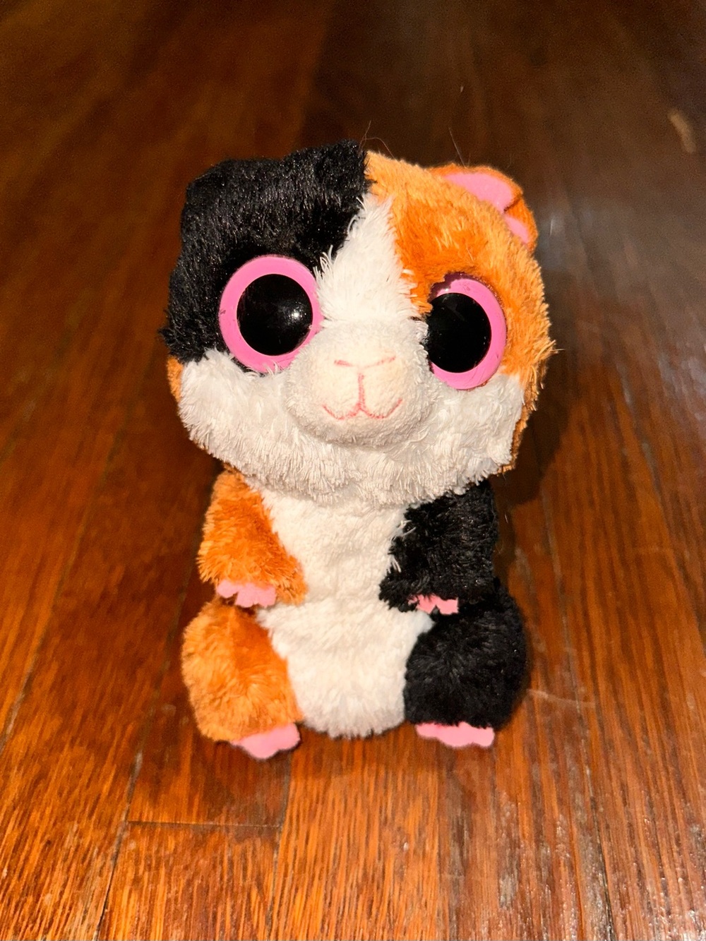 Ty Beanie Boos - Nibbles the Guinea Pig, Solid Eyes, Stuffed Animal Toy